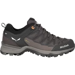 SALEWA Dames MTN Trainer Lite GTX Schoenen