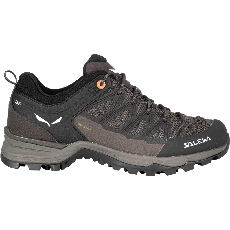 SALEWA Dames MTN Trainer Lite GTX Schoenen 1 SALEWA Dames MTN Trainer Lite GTX Schoenen