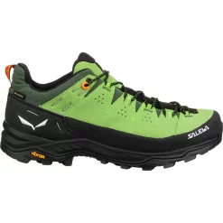SALEWA Heren Alp Trainer 2 GTX Schoenen